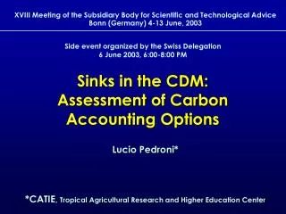 Sinks in the CDM: Assessment of Carbon Accounting Options