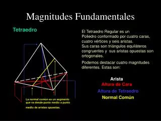 magnitudes fundamentales
