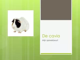 de cavia