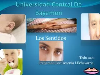 universidad central de bayamon