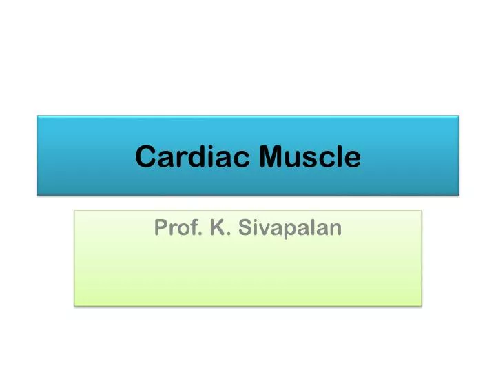 cardiac muscle