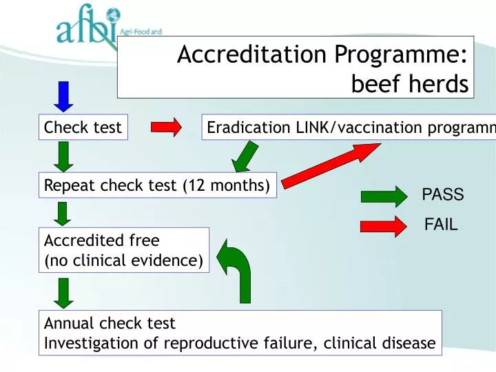 accreditation programme beef herds