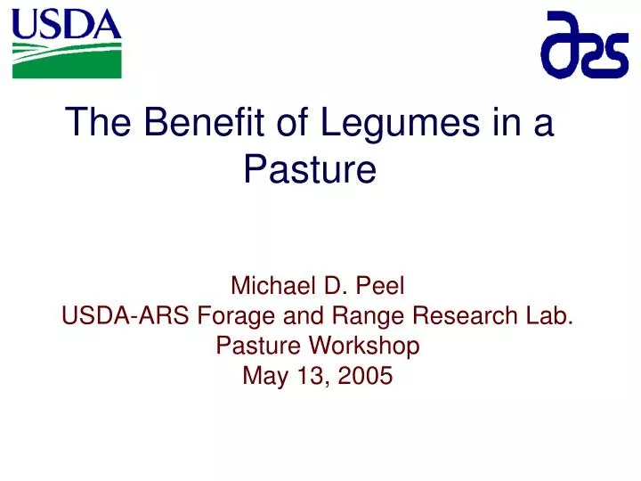 the benefit of legumes in a pasture