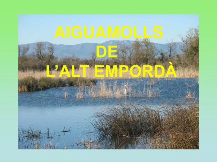 aiguamolls de l alt empord