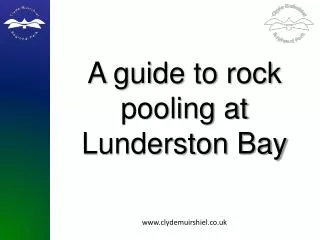 A guide to rock pooling at Lunderston Bay