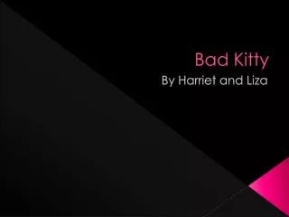 bad kitty