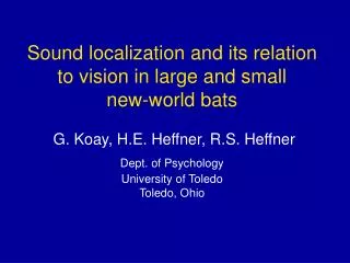 Sound localization and its relation to vision in large and small new-world bats