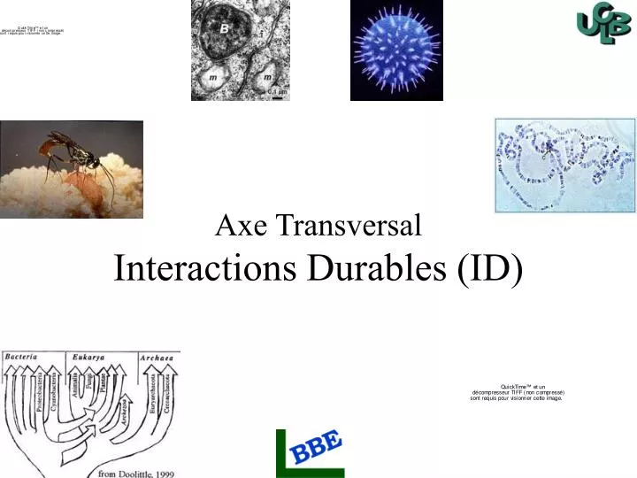 axe transversal interactions durables id