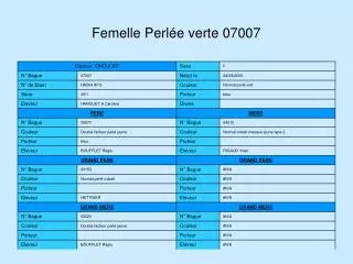 femelle perl e verte 07007