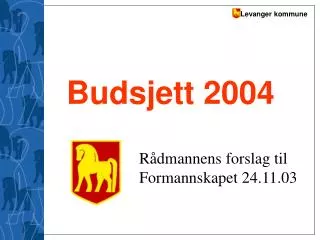 budsjett 2004