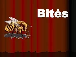 bit s