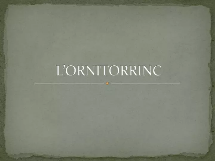 l ornitorrinc