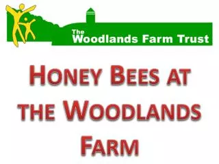 Honey Bees at the Woodlands Farm
