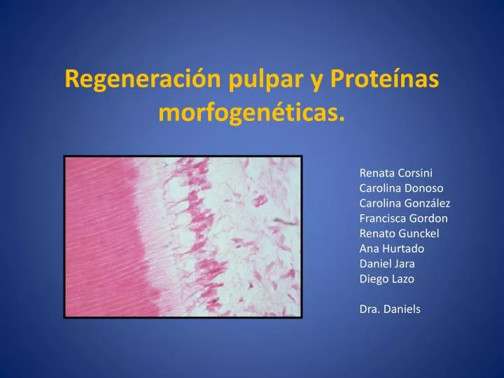 regeneraci n pulpar y prote nas morfogen ticas