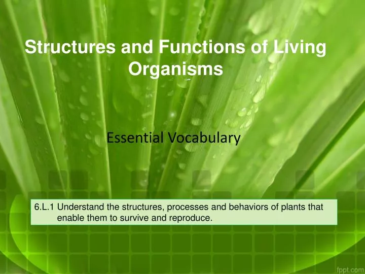 structures and functions of living organisms
