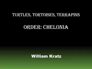 Turtles, Tortoises, Terrapins Order: Chelonia