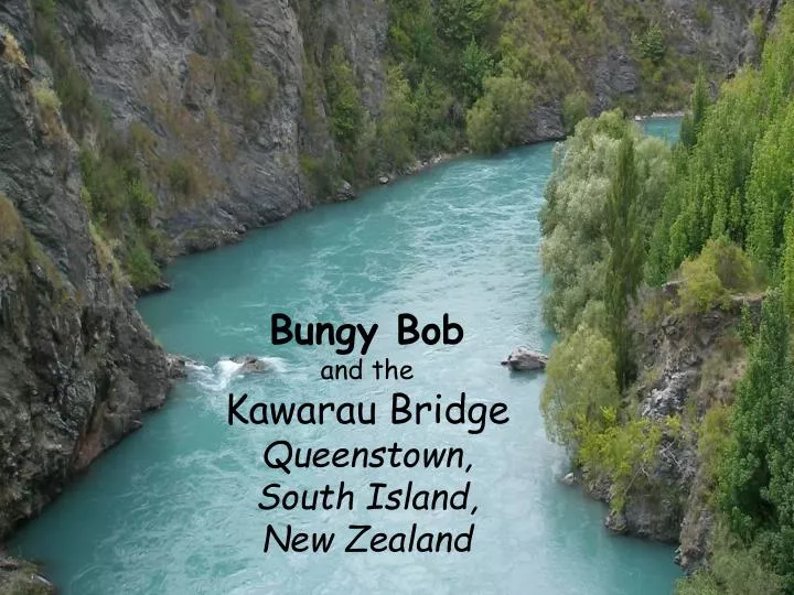 bungy bob and the kawarau bridge queenstown south island new zealand