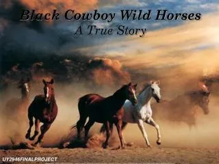 Black Cowboy Wild Horses A True Story
