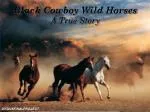 Black Cowboy Wild Horses A True Story - slide 1