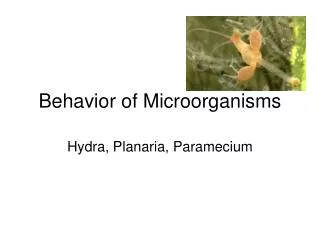 Behavior of Microorganisms