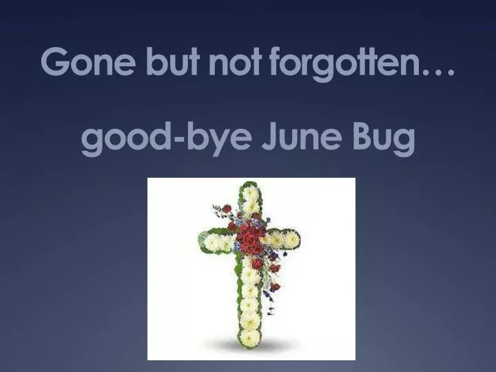 gone but not forgotten good bye june bug
