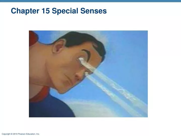 chapter 15 special senses