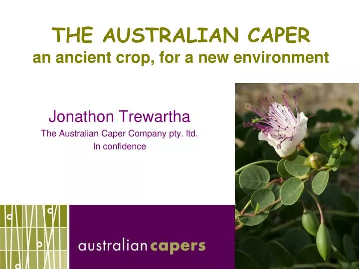 the australian caper an ancient crop for a new environment