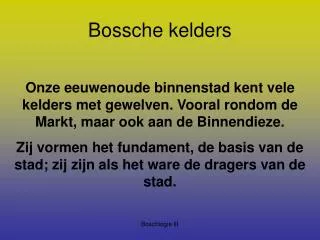 bossche kelders