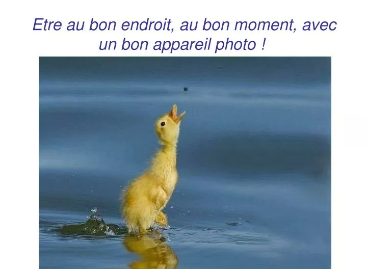 etre au bon endroit au bon moment avec un bon appareil photo