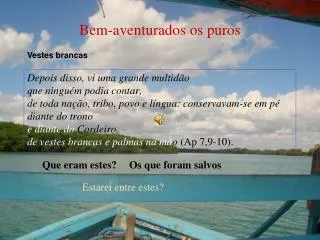 bem aventurados os puros
