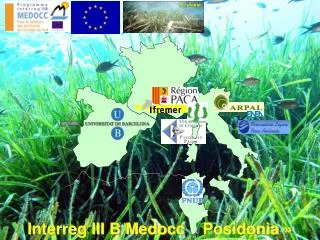 interreg iii b medocc posidonia