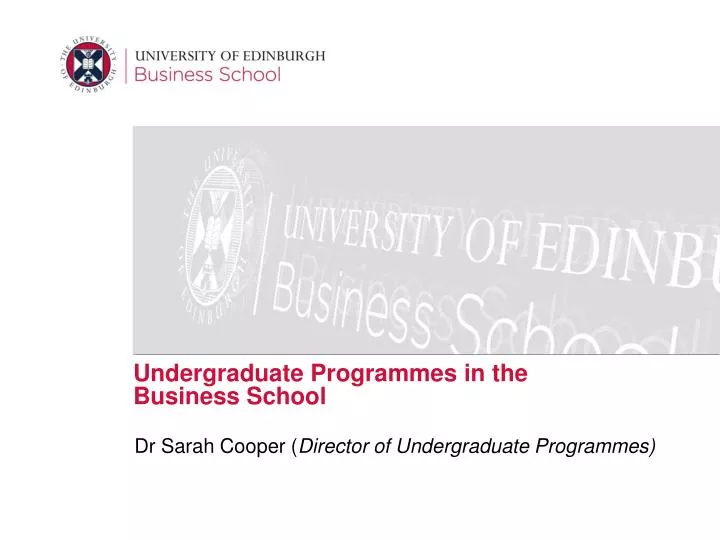 undergraduate programmes in the business school