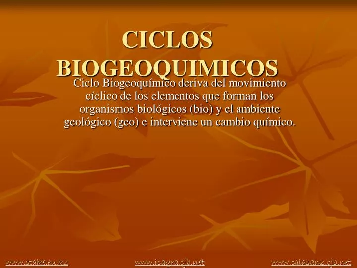 ciclos biogeoquimicos