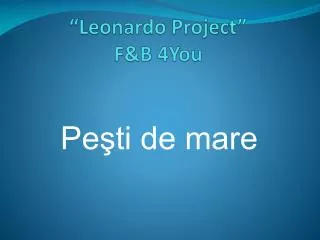 leonardo project f b 4you