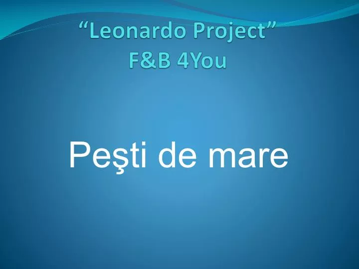 leonardo project f b 4you