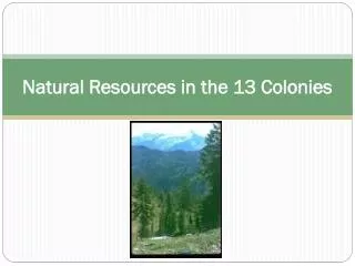 Natural Resources in the 13 Colonies