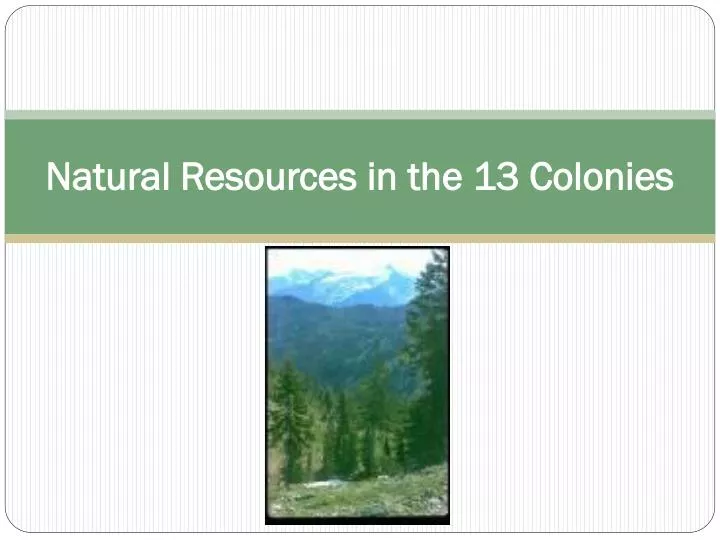 natural resources in the 13 colonies