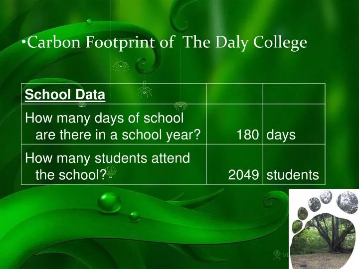carbon footprint of the daly college