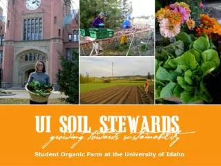 Student Organic Farm at the University of Idaho