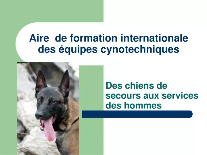 aire de formation internationale des quipes cynotechniques