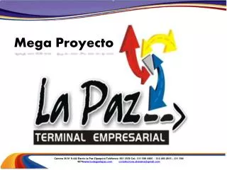 mega proyecto