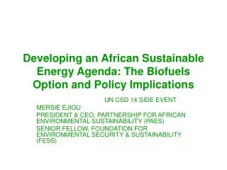 Developing an African Sustainable Energy Agenda: The Biofuels Option and Policy Implications