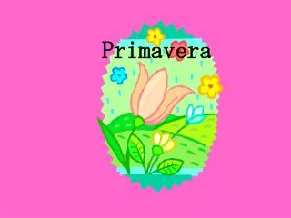 primavera