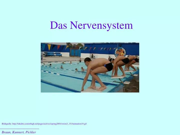 das nervensystem