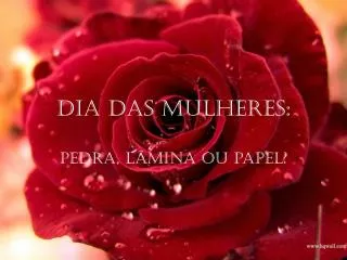 dia das mulheres