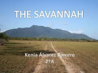 THE SAVANNAH