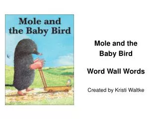 Mole and the Baby Bird Word Wall Words Created by Kristi Waltke