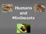 Humans and Minibeasts