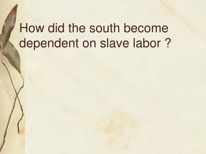 how did the south become dependent on slave labor