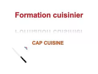 formation cuisinier